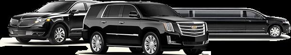 MOUNTAIN LIMOUSINE   